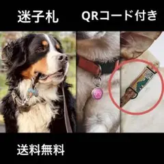 ✨大人気✨迷子札 名札 ドッグタグ 愛犬用 首輪 QRコード