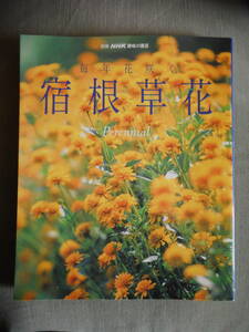 別冊　NHK趣味の園芸　毎年花咲く 宿根草花　中古本