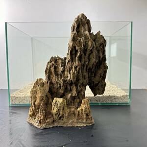 気孔石山（美型） 一点物の水槽オブジェ No. 5075 (45cm水槽)(W約23cm/H約29cm)