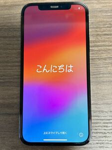 【美品・バッテリー良好】Apple iPhone 12 Pro 256GB パシフィックブルー SIMフリー