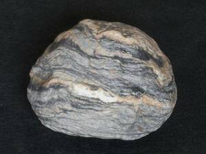《水石・鑑賞石》◆層になった丸い石■幅7.5cm/重さ416g