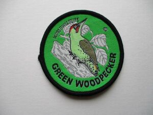 70s WORLD WILDLIFEヨーロッパアオゲラ『GREEN WOODPECKER』Collector Badgesワッペン/バードウォッチング鳥キツツキPATCHアップリケV193