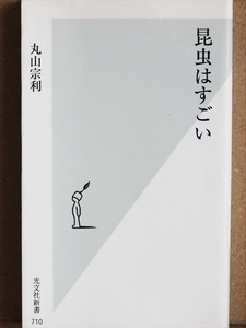 『昆虫はすごい』　小さな生物の生存戦略　多種多様な生き物たちの生態　丸山宗利　養老孟司　多様性　新書　★同梱ＯＫ★