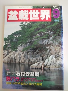 盆栽世界　1986年9月　石尽き盆栽　野ばら　山採り素材を創る　湘南・山野草盆栽　【即決】