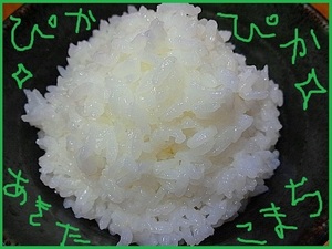 令和5年産【極上☆あきたこまち】玄米30Kg 特注化粧箱入 冷蔵庫保管（12℃保存）1等米 残留農薬ゼロ【残10袋限り】有機肥料 乳酸菌 減農薬 