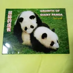 北京動物園、パンダ絵葉書10枚