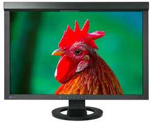 T3931 EIZO ColorEdge CG245W 24.1インチワイド液晶ディスプレイ WUXGA(1920x1200)/ノングレア/IPS/Displayport 使用時間2186H