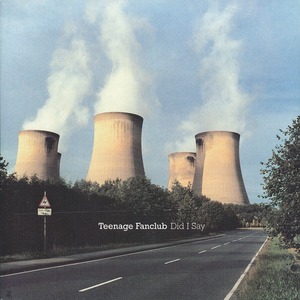 ティーンエイジ・ファンクラブ Teenage Fanclub - Did I Say /UK盤/中古7インチ!!3478