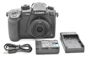 Panasonic パナソニック LUMIX DC-GH5 RD-SPM049 デジタル一眼レフカメラ + LUMIX G 14mm F/2.5 ASPH (t4467)