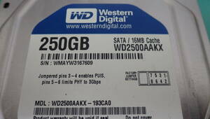 Western Digtal WD Blue WD2500AAKX 3.5インチHDD　フォーマット済