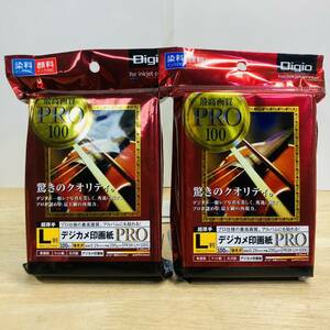 未開封　Digio ナカバヤシ デジカメ 印画紙　PRO 強光沢　L判　100枚　PRSK-LH-100G 2セットまとめ売り