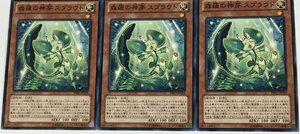 遊戯王 ノーマル 効果モンスター 3枚セット 森羅の神芽 スプラウト PRIO