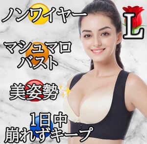 【L】人気 補正下着 マシュマロバスト 谷間 美姿勢 プリンセスアーチ ナイトブラ