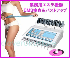 エステ業務用EMS痩身マシン ボディ痩身＆バストアップ育乳 新品 美容機器