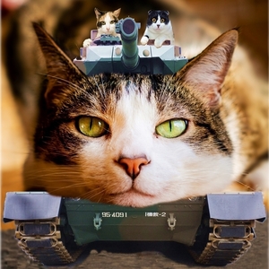 , A4プリント のせ猫戦車 cb284 アート 現代美術 載せ猫 ねこ戦車 のせネコ戦車 合成写真 にゃんこ画 猫 funny cat picture Art