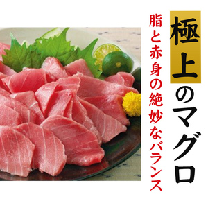 厳選!脂たっぷり本マグロ切り落とし 1kg(1000g)（冷凍）送料無料