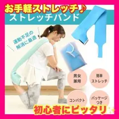 ❤️お手軽❤️ トレーニングチューブ シェイプアップ ダイエット 筋トレ ストレッチ