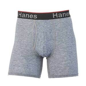 Hanes ヘインズ HM6EW101 COMFORT FLEX FIT トータルサポートポーチ ボクサーブリーフ シルバーグレー Lサイズ 新品