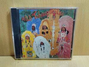 WILD TCHOUPITOULASワイルド・チャパトゥーラス/Wild Tchoupitoulas/CD/MetersNevilleBrothers