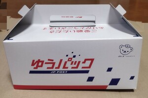 日本郵便　ポスくま　ゆうパックボックス風ケーキボックスケーキ箱