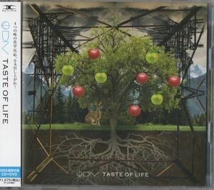 帯付CD+DVD★DIV／TASTE OF LIFE