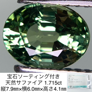 宝石ソーティング付き 天然 サファイア　（ サファイヤ ） 1.715ct 縦7.9㎜×横6.0㎜×高さ4.1㎜ 3185Y