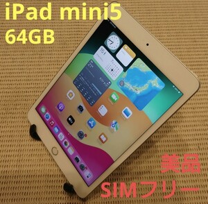 国内版SIMフリー美品iPad mini(A2124)本体64GBシルバー完動品動作確認済み1円スタート送料無料