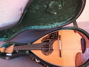 Noguchi Mandolin OM2 野口マンドリン ケース付き(鍵あり) #192　mandoline　mandolino