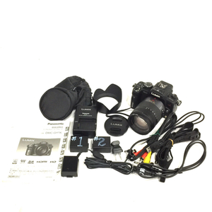 Panasonic LUMIX DMC-GH1 G VARIO 1:4-5.8/14-140 ミラーレス一眼 デジタルカメラ