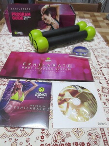 ZUMBA fitness EXHILARETE ズンバ　 セット＋トーニングスティック (マラカスタイプダンベル1.14kg 2本セット)