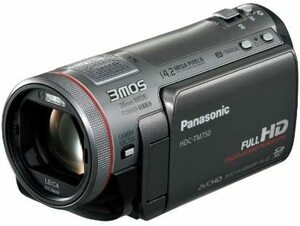 パナソニック デジタルハイビジョンビデオカメラ TM750 内蔵メモリー96GB (中古品)