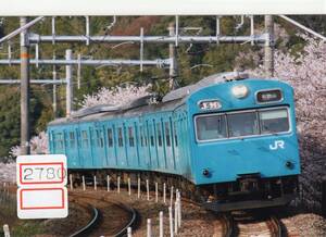 【鉄道写真】[2780]JR西日本 阪和線 103系 桜 2010年4月頃撮影、鉄道ファンの方へ、お子様へ