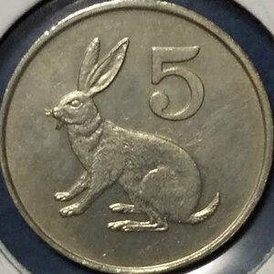 (C-578) ジンバブエ　5セント白銅貨　1990年　ウサギ　②