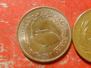 外国・アラブ首長国連邦／５フィルス青銅貨（1973年）　240516