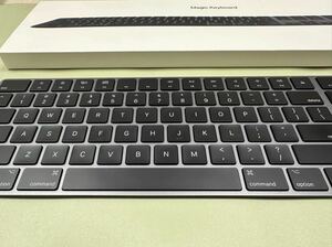 Apple Magic Keyboard with Numeric Keypad US Space Gray（中古）