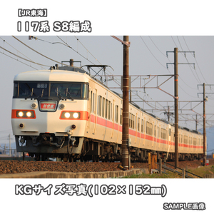 ◎KG写真【JR東海】117系電車 S8編成 ■東海色 ■新快速 □撮影:東海道本線 2011/3/30［KG0727］