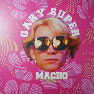 アナログ ●輸入盤 ～Sukia Gary Super Macho ～ レーベル:Mo Wax MW 081～ 未使用 保管品