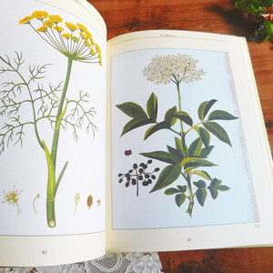 *゜+.*ハーブガーデンの作り方　イギリスの本　　ボタニカルアート　洋書　ヴィンテージ本　英国　ガーデン　スパイス　花　ディスプレイ