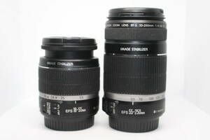 Canon 純正Wズーム(EF-s 55-250mm IS EF-s 18-55mm IS)