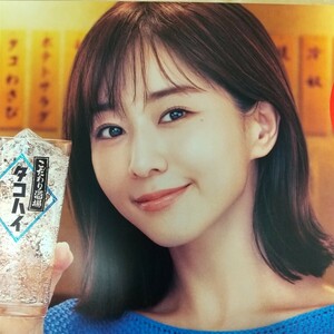 【業務用ポスター】最新 田中みな実 ポスター タコハイ SUNTORY 未使用