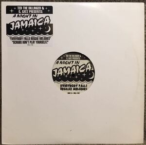 【プロモ盤/レア/Reggae/盤質(EX-)/12】ted the dillinger & g.gatz presents / a night in jamaica / 試聴検品済
