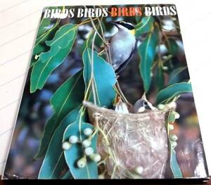 １９６５年 洋書「BIRDS BIRDS BIRDS BIRDS」野鳥写真集