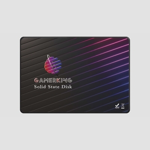 送料無料★GamerKing 内蔵型SSD 2.5inch 6Gb/s 高性能ハードドライブ (64GB SATA3 2.5)