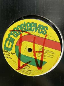 SALE reggae 12inc record 10