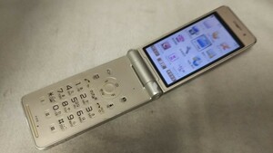 DG4628 docomo FOMA P-01E Panasonic パナソニック ガラケー ケータイ 折り畳み式 簡易動作確認＆簡易清掃＆初期化OK 判定○ 送料無料　