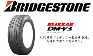 265/50R19 スタッドレスタイヤ 19インチ ブリヂストン ブリザック DM-V3 4本セット 1台分 新品 正規品