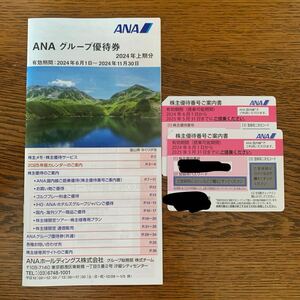 【送料無料】ANA株主優待券2枚（有効期限２０２５年５月３１日まで・最新版）