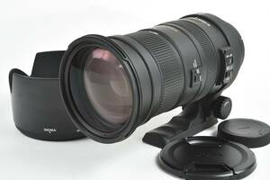 ★良品★SIGMA APO 50-500mm f/4.5-6.3 DG OS HSM シグマSAマウント フード付き♪/p35