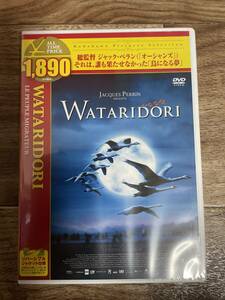未開封 WATARIDORI DVD