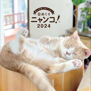 日めくりニャンコ！2024年(卓上日めくりカレンダー猫版)　ねこ 癒し にゃんこ大戦争　S2